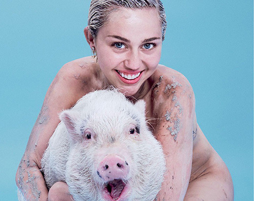 over Miley Cyrus su Paper Magazine col suo maiale