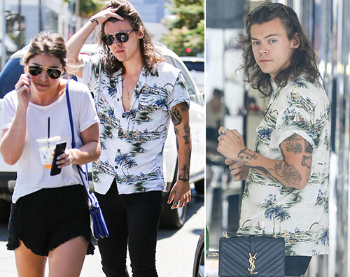 Harry Styles 2 Harry Styles un perfetto personal shopper