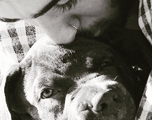 Zayn Malik 2 Zayn Malik papà di Rhino