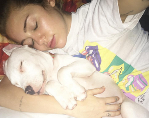 Miley Cyrus Milky Miley Cyrus ha adottato un nuovo cagnolino