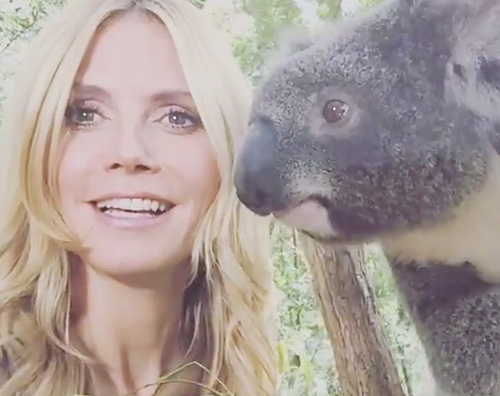 Heidi Klum Heidy Klum, un koala come amico