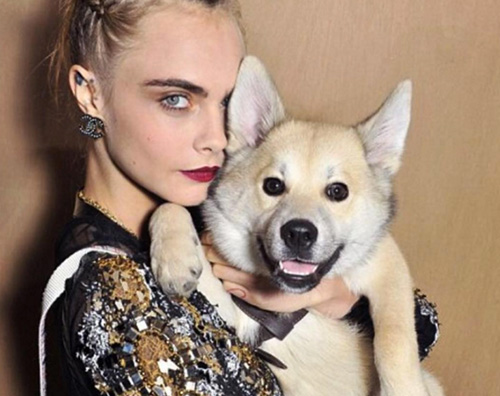 Cara Delevigne Leo Cara Delevingne a Parigi con Poppy e Leo