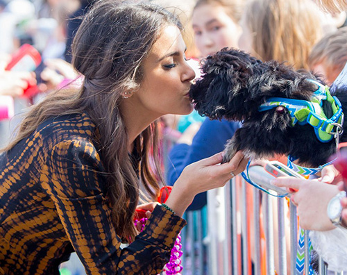 Nikki Reed Ian Somerhalder e Nikki Reed, San Valentino a Mandeville