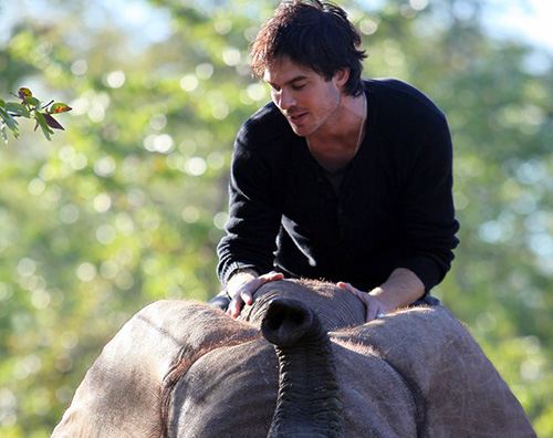 Ian Somerhalder 2 Ian Somerhalder cavalca un elefante in Zimbabwe