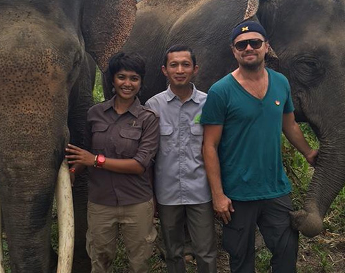 Leonardo DiCaprio 2 Leonardo DiCaprio in Indonesia per salvare l orango di Sumatra