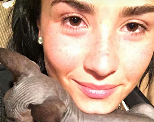 Demi Lovato Demi Lovato presenta il suo nuovo gatto su Snapchat