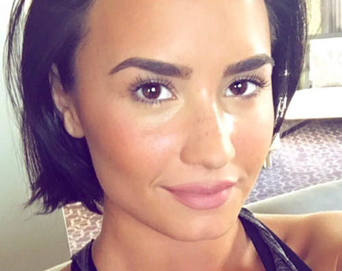 Demi Lovato selfie naturale Demi Lovato si prenderà un anno sabbatico nel 2017