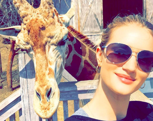 Rosie Huntington Whiteley Rosie Huntington  Whiteley, selfie con la giraffa