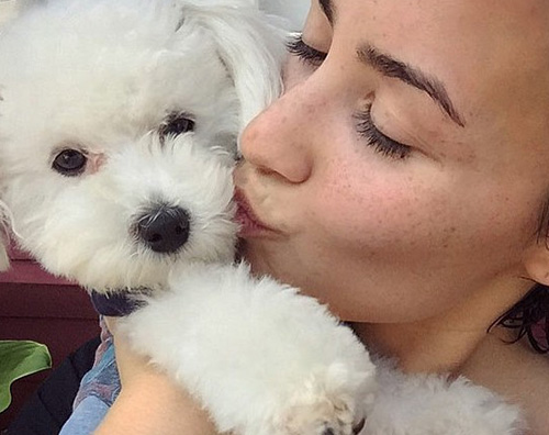 Demi Lovato2 Demi Lovato ricorda il suo cagnolino sui social