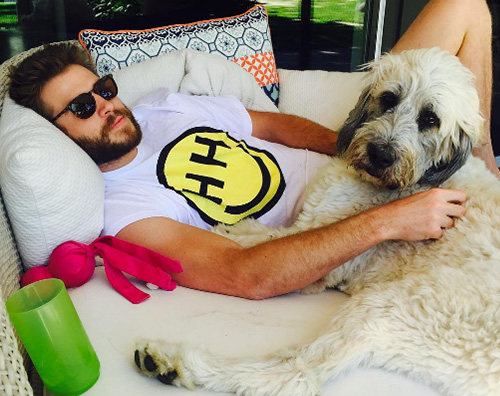 Liam Hemsworth Miley Cyrus posta una foto di Liam su Instagram
