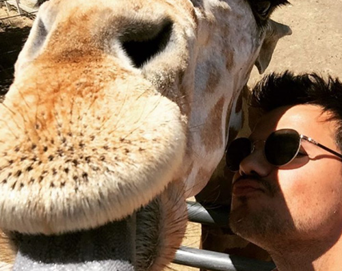 Taylor Lautenr 2 Taylor Lautener bacia una giraffa