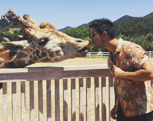 Taylor Lautner Taylor Lautener bacia una giraffa