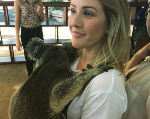 Ellie Goulding Ellie Goulding fa amicizia con un koala