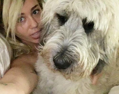 Miley Cyrus Miley Cyrus, selfie di coppia col suo cane