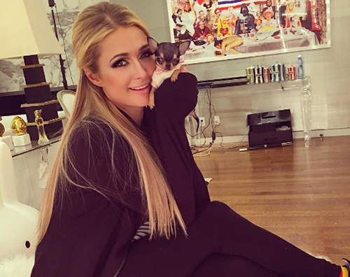 Paris Hilton presenta la sua nuova cagnolina Paris Hilton 1 Paris Hilton presenta la sua nuova cagnolina