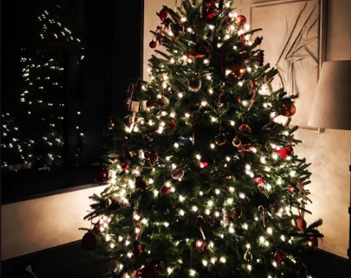 Naomi Watts Naomi Watts ha fatto l albero di Natale