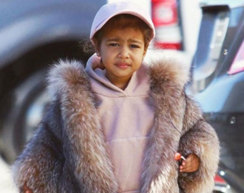 North Kim Kardashian e Kendall Jenner aggredite dagli animalisti