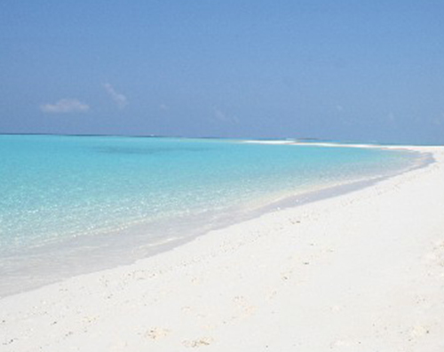 ferragosto Buon Ferragosto!