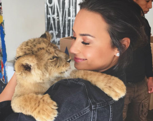 Demi Lovato Demi Lovato coccola un cucciolo di giaguaro