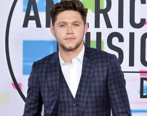 Niall Horan 1 MTV AMAs 2017, la lista dei vincitori