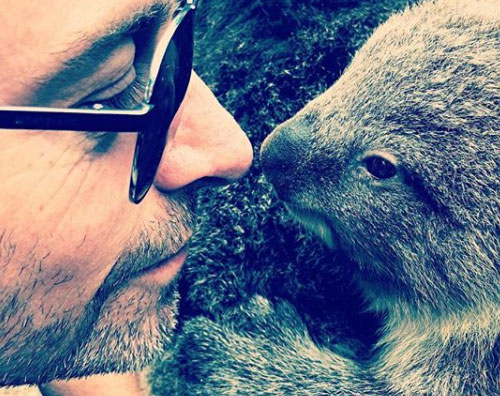 Hugh Jackman Hugh Jackman faccia a faccia con un koala