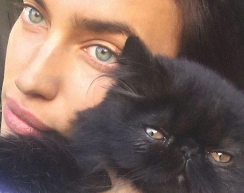 Irina Shayk 1 Irina Shayk coccola un gatto su Instagram