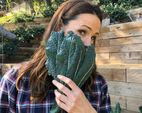 Jennifer Garner Jennifer Garner è una food blogger su Instagram