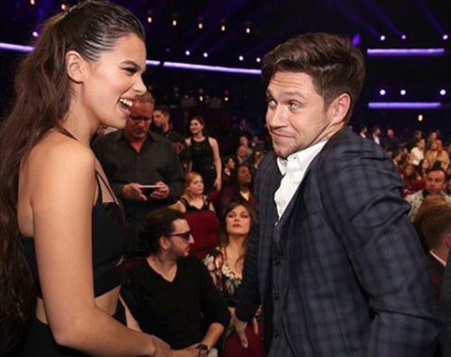 Niall Horan Niall Horan e Hailee Steinfeld si sono lasciati