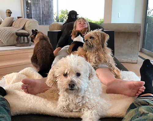 Portia de Rossi medita insieme ai suoi cani