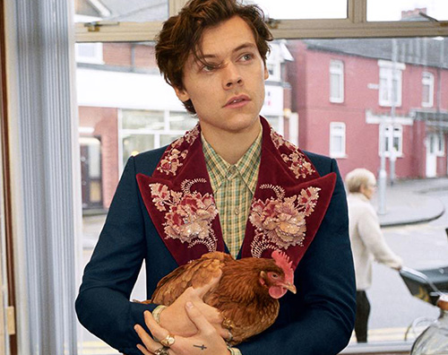 Harry Styles 1 Harry Styles coccola un gallo nella campagna pubblicitaria di Gucci