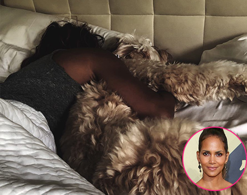 Halle Berry The Gossipers Halle Berry dorme col suo cane