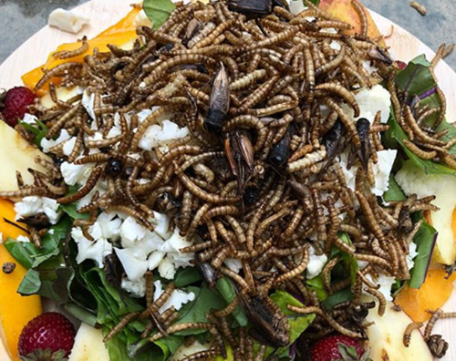 Jennifer Garner Jennifer Garner festeggia il compleanno delle sue galline