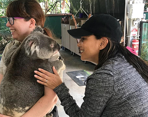 Eva Longotia Eva Longoria coccola un koala in Australia