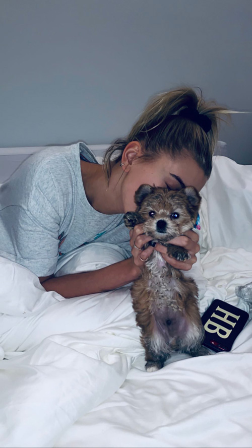 Hailey Baldwin 1 Hailey Baldwin maltratta il suo cane?