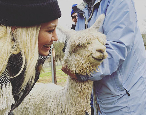 Hilary Duff Hilary Duff ha ricevuto un alpaca per San Valentino