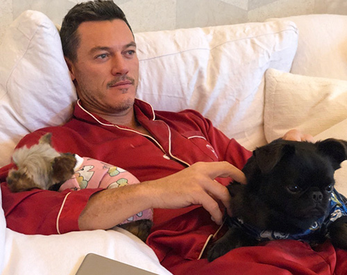 luke evans Luke Evans si fa coccolare dai suoi cagnolini