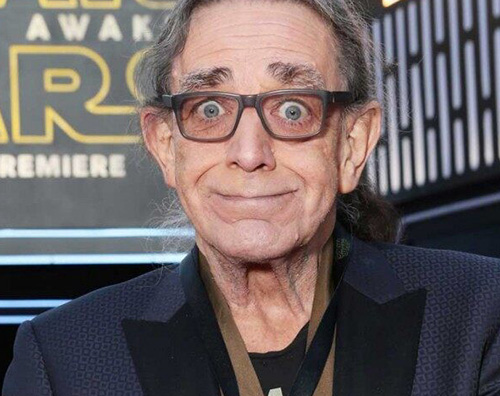 Peter Mayhew Peter Mayhew è morto