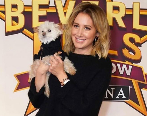 ashley tisdale 2 Ashley Tisdale piange la morte del suo cagnolino