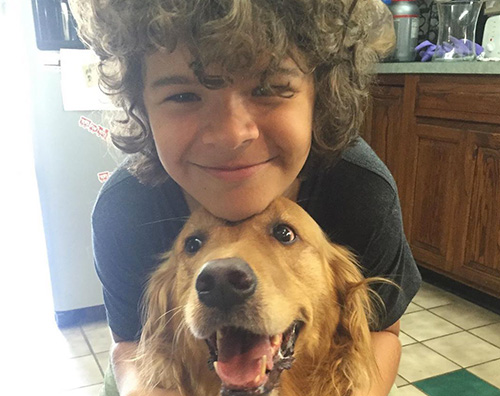 gaetan matarazzo Gaten Matarazzo dice addio al suo cane