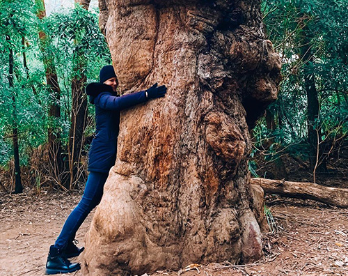 nicole kidman 2 Nicole Kidman abbraccia un albero su Instagram