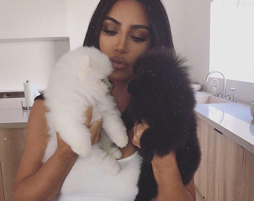 kim kardashian 2 Kim e Kanye hanno adottato due cuccioli