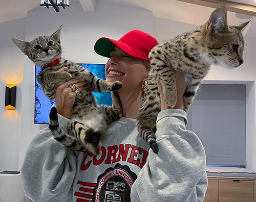 Hailey Baldwin 2 Justin Bieber ha creato un account instagram per i suoi animali domestici