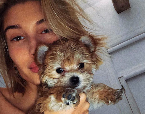 Hailey Baldwin Justin Bieber ha creato un account instagram per i suoi animali domestici