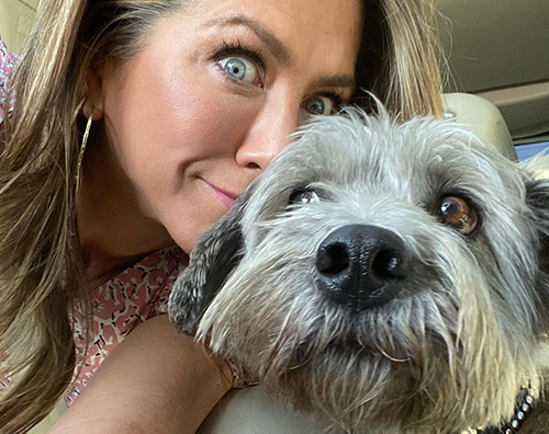 Jennifer Aniston 2 Jennifer Aniston porta il cane a lavoro