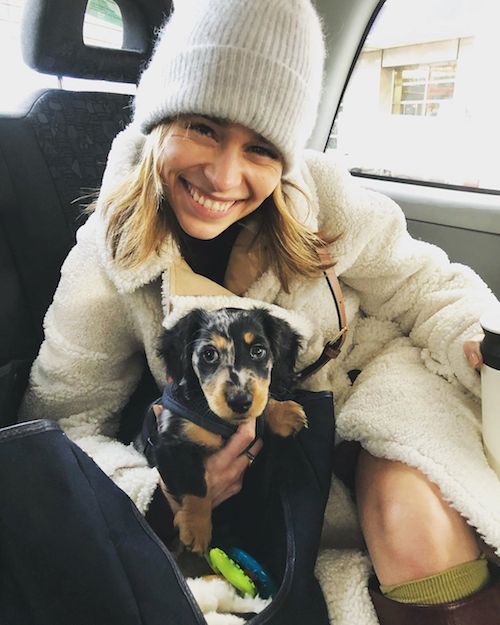 Emilia Clarke in taxi col suo cagnolino 83629712 502540927065533 3749872208127667083 n Emilia Clarke in taxi col suo cagnolino