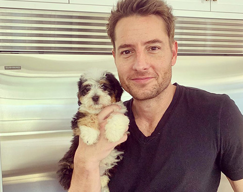 Justin Hartley Justin Hartley, San Valentino con la sua nuova cagnolina