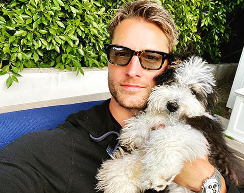 justin  Justin Hartley quarantena col cagnolino