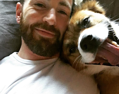 chris evans Chris Evans, selfie col cane su Instagram
