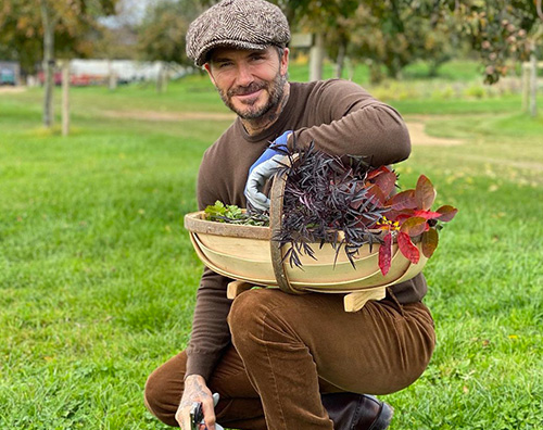 david beckham David Beckham, un giardiniere stiloso su Instagram