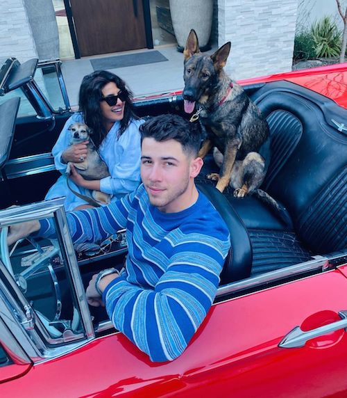 123260076 185536236474026 3929325175897119275 n Priyanka e Nick: foto di famiglia su Instagram